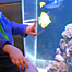at_the_aquarium