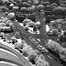 downtown_infra_red