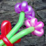 flower_baloon
