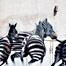 zebra_herd