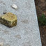 stone_left_on_benches_sachsenhausen