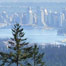 forest_city_vancouver