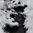 creek_with_no_name_mt_baker_park_seattle