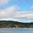 hood_canal_oyster_shore